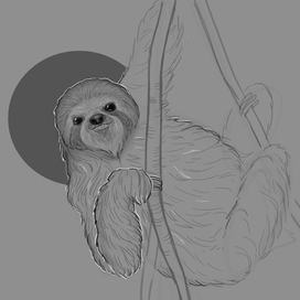 Ленивец .Скетч