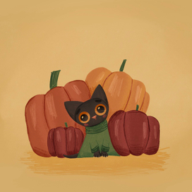 Тыквенный котик 