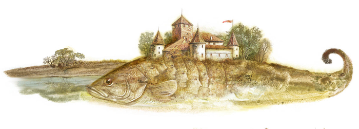 концовка к сказке