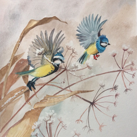 Синички прилетели 