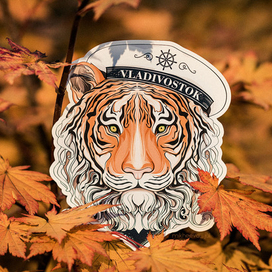 Амурский тигр