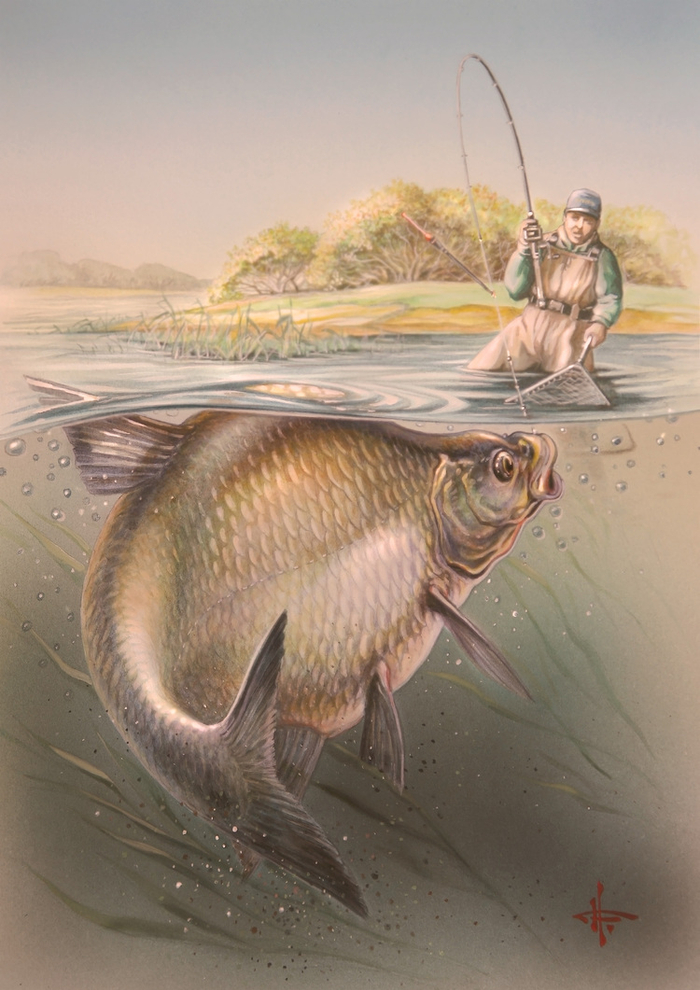 Матерый лещуга...!!!