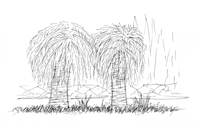 Бархатный сезон 041