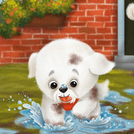 Щенок Бишон 