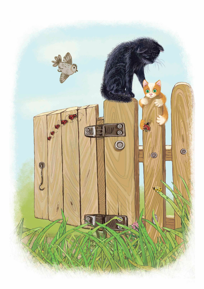 Ты сможешь, малыш!