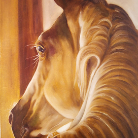  Illumination, Озаренная