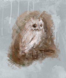 White Owl