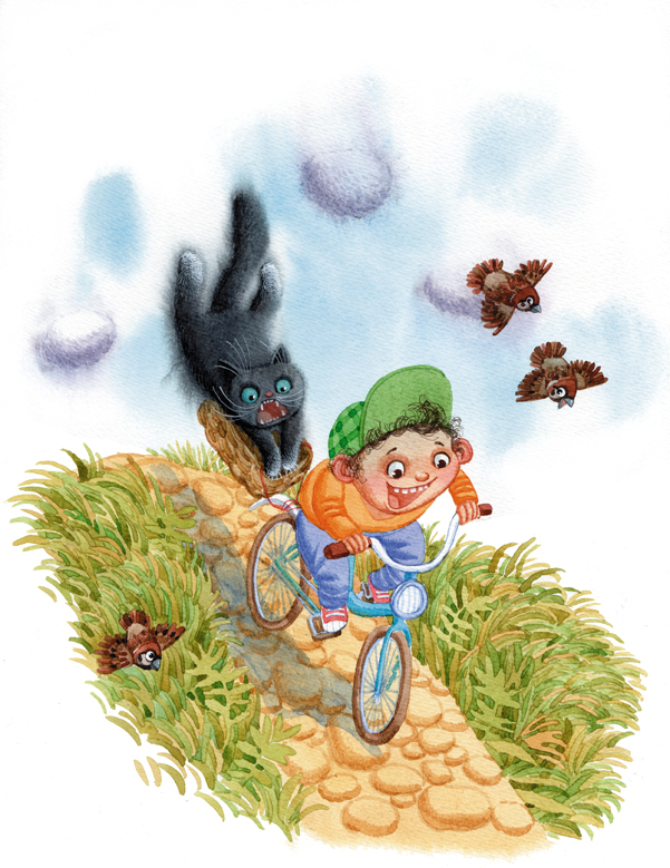 кот на велосипеде