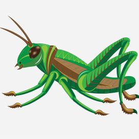 Зелёный кузнечик