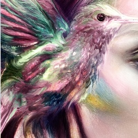 Колибри фрагмент