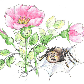 шиповник и паучок (к сказке)