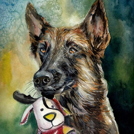 Собака с игрушкой. The dog with a toy. 