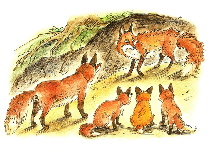 иллюстрация к книге Лилии Ёж "Златинка"