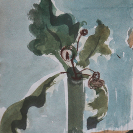 Цветы и растения 2 / Flowers and Plants