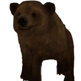 Bear (Rust Game) - Original