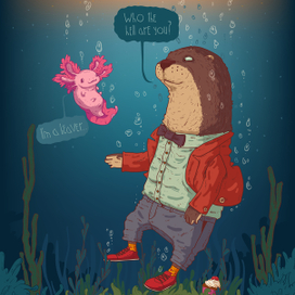 Выдра встречает неведомого зверя