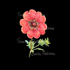 фрагмент бесшовного паттерна 5000х5000 360ppi