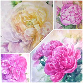 Пионы акварель