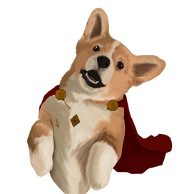 Corgi