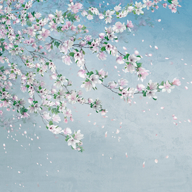 Магнолия голубая