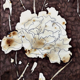 кофе - он мой. 