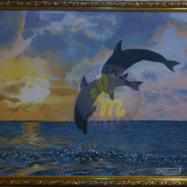 Дельфины в Чёрном море