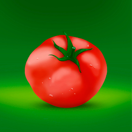 Помидор 