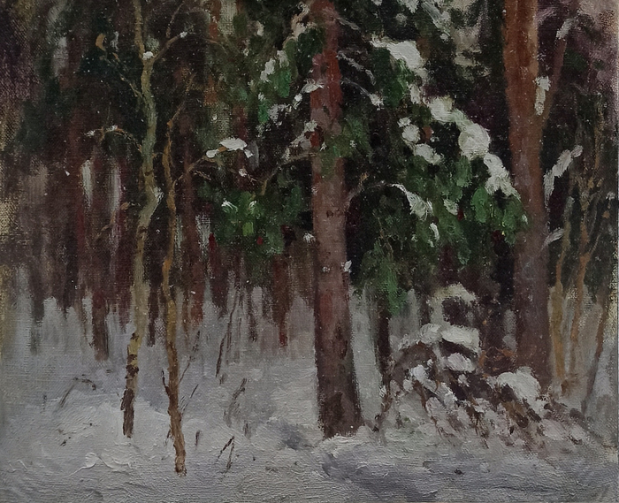 Февральский снежок 