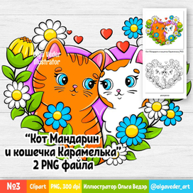 №3 Иллюстрация "Кот Мандарин и кошечка Карамелька" - 2 PNG файла