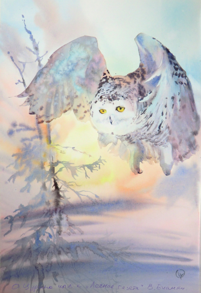 Месяц зимних гостей