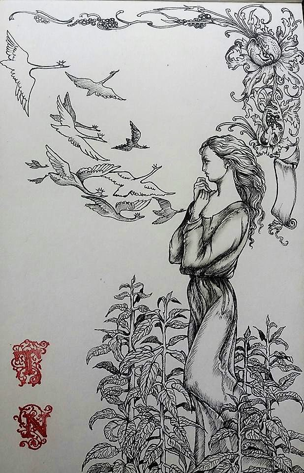 "Дикие лебеди"