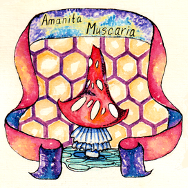 Amanita Muscaria 