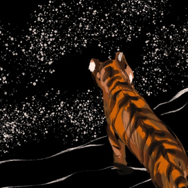 Тигр и космос