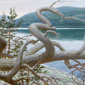 Северный дракон