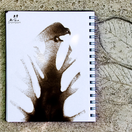 Без названия