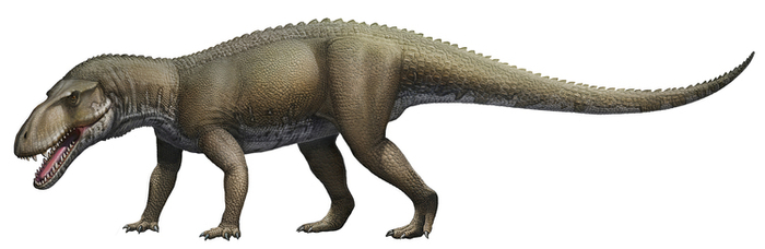 Персонажи Prestosuchus (динозавры)
