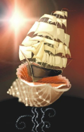 Корабль в ракушке