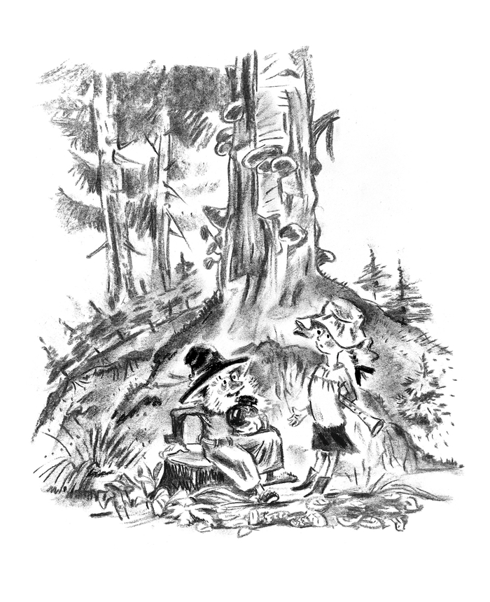 В. Катаев «Рассказы и сказки» 