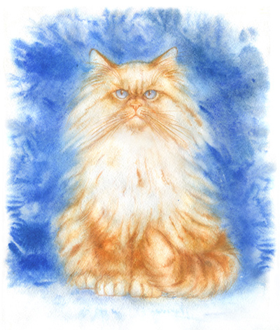 Сердитый кот