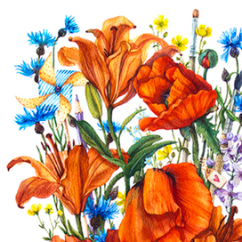 Полевые цветы