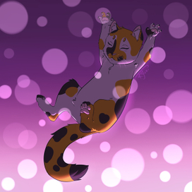 Котяшкины потягушки