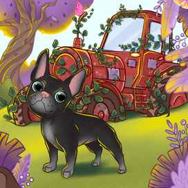 Неожиданная находка