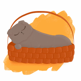 Спящая кошка