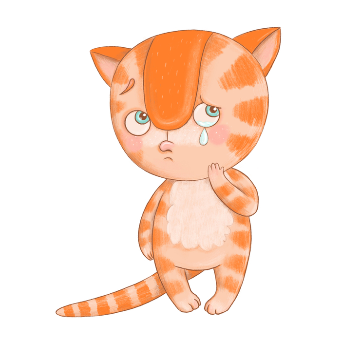 Грустный котик