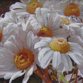 Ромашки Оксаны