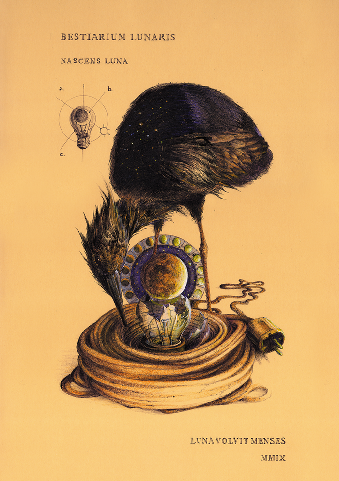 BESTIARIUM LUNARIS / Рождение /