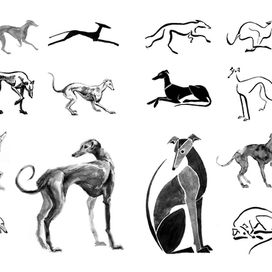 Грейхаунд в разных техниках, 2