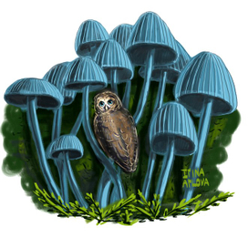 Грибной лес и сова