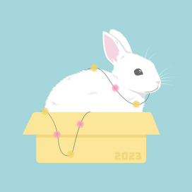 Новогодний кролик в коробке.