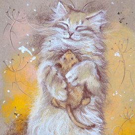 Абрикосовый полдень